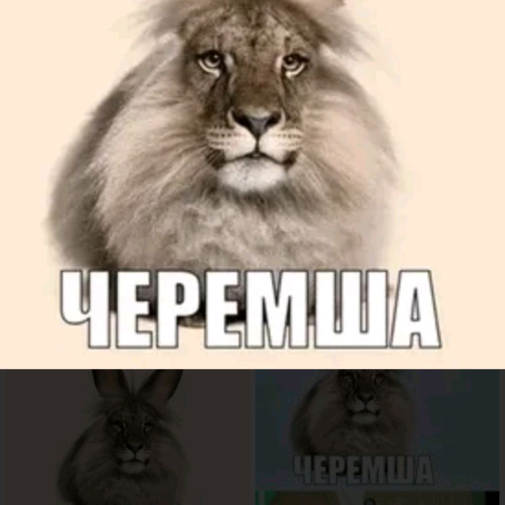 Иконка канала Черемша
