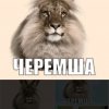 Иконка канала Черемша