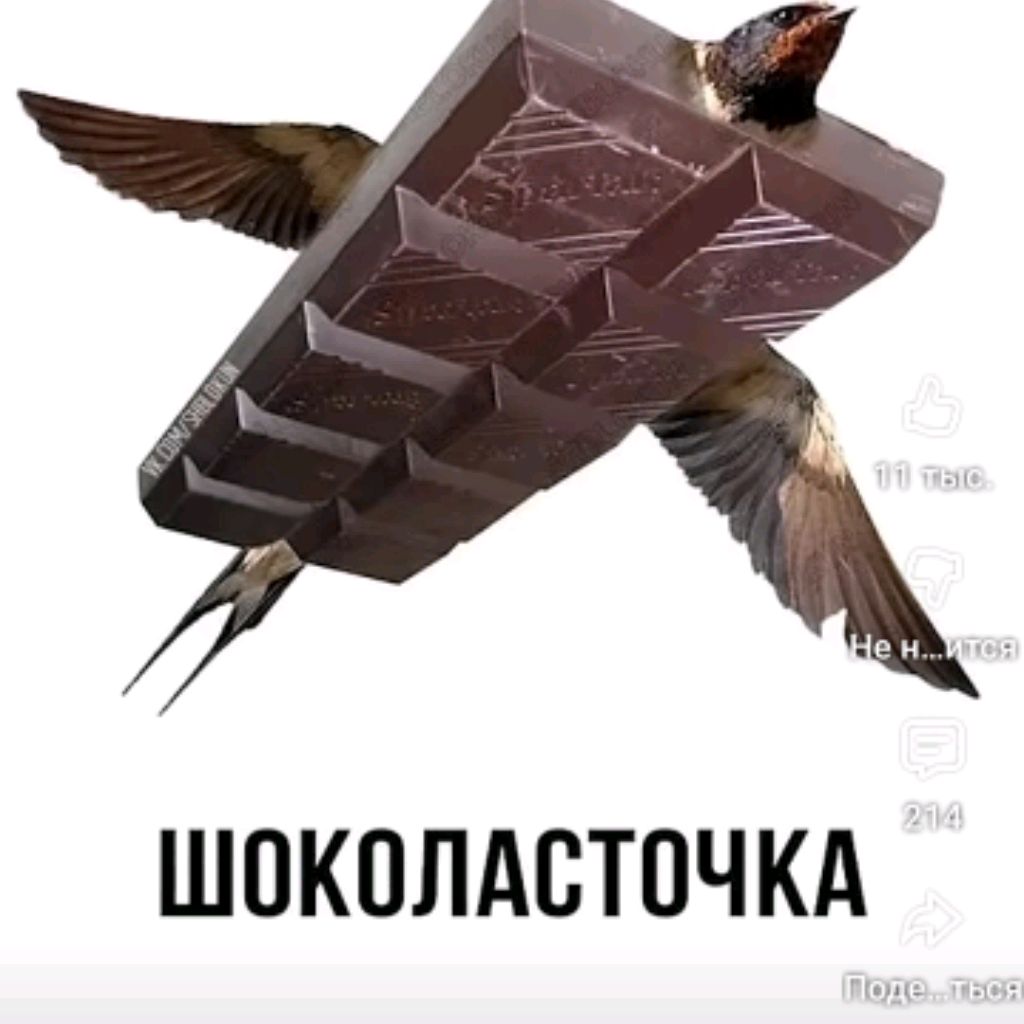 Иконка канала Птичка Которая Любит Шоколад