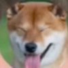 Иконка канала Akita
