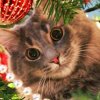 Иконка канала Котя и котичка