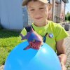 Иконка канала Серёга шоу
