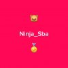 Иконка канала Ninja_SBA