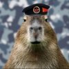 Иконка канала Wbln_B1ndEROPsツ