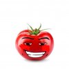 Иконка канала 🍅Pomidr$