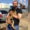 Иконка канала САПФИР!