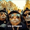 Иконка канала Кот Бандит