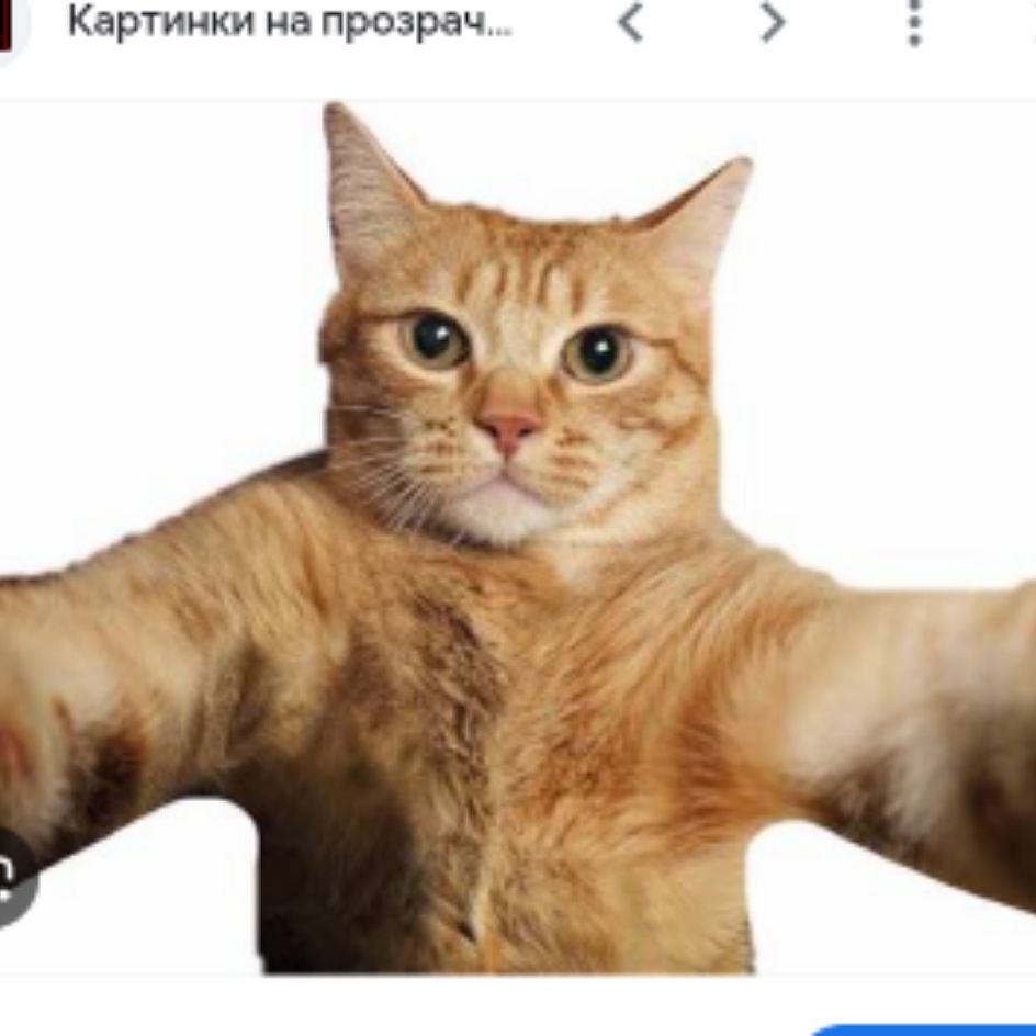 Иконка канала Интеркот