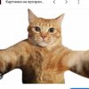 Иконка канала Интеркот