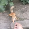 Иконка канала Привет Я Не Хочу