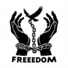 Иконка канала FREEDOM