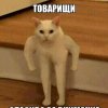 Иконка канала Гулик тв
