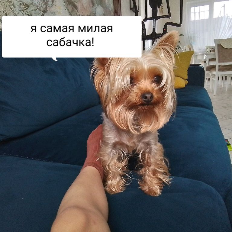 Иконка канала игнат