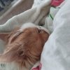 Иконка канала Нина Дом
