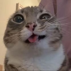 Иконка канала Lomtik   twitch