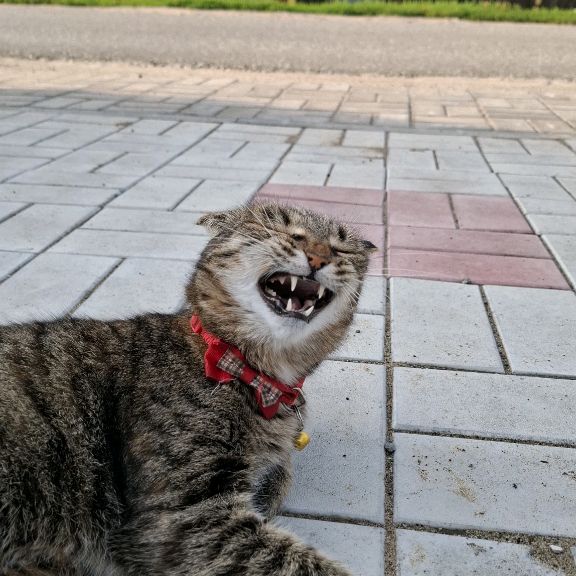 Иконка канала operatoriv