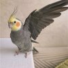 Иконка канала Ярик 7к