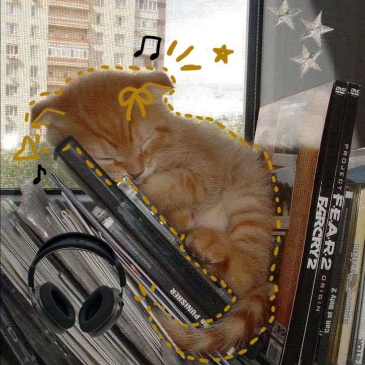 Иконка канала Злобный котик😽