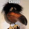Иконка канала Balkadayz