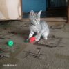 Иконка канала София Игры