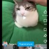 Иконка канала Владус Адидадус