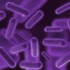 Иконка канала Micromirvezde