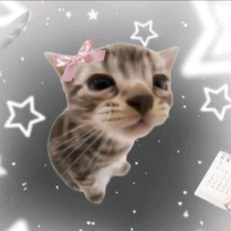 Иконка канала 😝❤𝑀𝑖𝑠𝑠 Cat😝❤