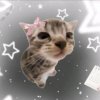 Иконка канала 😝❤𝑀𝑖𝑠𝑠 Cat😝❤