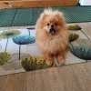 Иконка канала channel80720250
