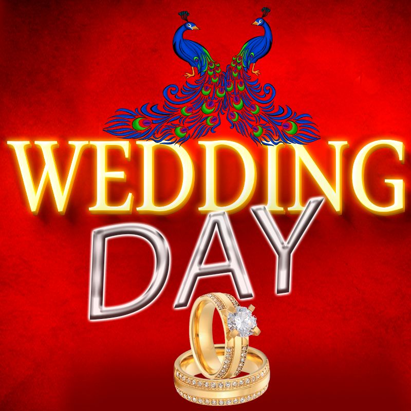 Иконка канала WEDDING DAY 🕊️