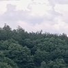 Иконка канала Валерий