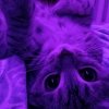 Иконка канала 𐙚⋆°🦢⋆ᥫ᭡𝐿𝒪𝒱𝐼 𝒴𝑜𝓊𐙚⋆°🦢⋆ᥫ᭡