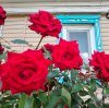 Иконка канала Моя провинция