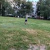 Иконка канала ПСЫЖ WILDCRAFT/ ЗВЕЗДОЛИСТКА