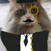 Иконка канала 🌟•Котя4ность•🌟