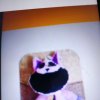Иконка канала Cat Мэт
