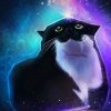Иконка канала Кот в Космосе!