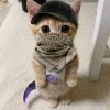 Иконка канала Радмир