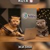 Иконка канала Распаковки И Дегустации