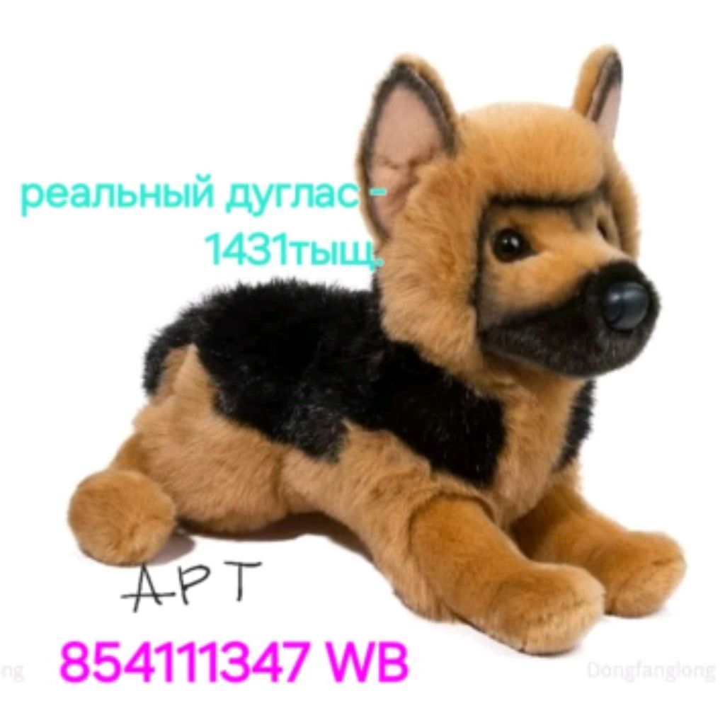 Иконка канала РЕЙЧЕЛ🌺 Заброшенно
