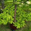 Иконка канала GUITARIST58