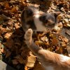 Иконка канала 𐔥ᥲⲙιᥣ𐔤_tᥱιⲙ𐔖ᥒ🍂