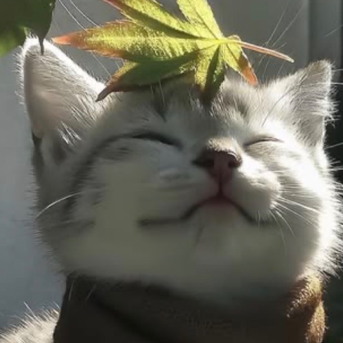 Иконка канала Осенька-[🌿]