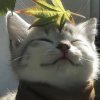 Иконка канала Осенька-[🌿]
