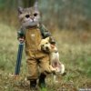 Иконка канала SERGUNYA