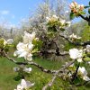 Иконка канала Музыка Природы...79555718
