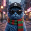Иконка канала 🐱🔥Макар кот 58к🔥🐱