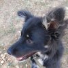 Иконка канала Великая Юкиша первая 🔥🐺