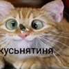 Иконка канала Дурдом А5