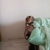Иконка канала Левкот